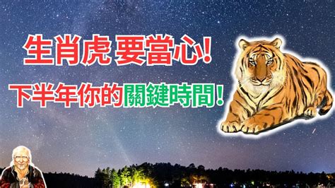 今年屬虎的運勢|生肖虎：屬虎2024年運勢及運程，2024年屬虎人的全年每月運勢。